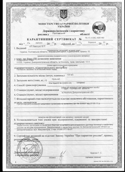 Радиология1