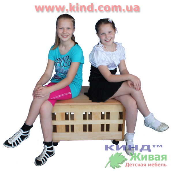 Детский деревянный ящик 